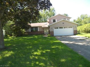 10580 Hickory Hill Ct, Kirtland, OH 44094