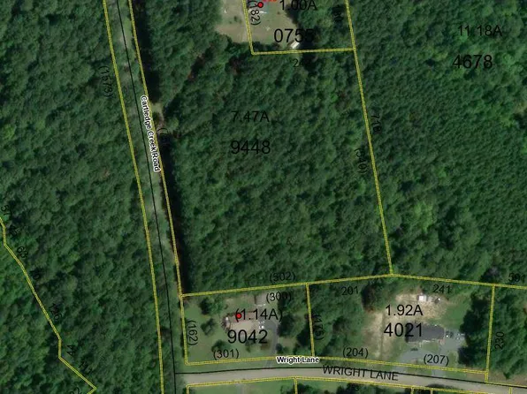 Tbd Cartledge Creek Road, Rockingham, NC 28379