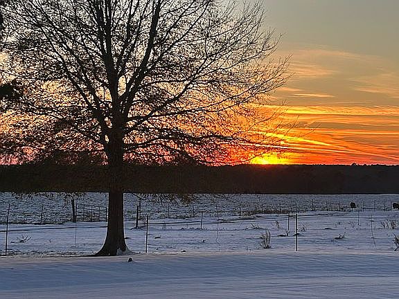 Snow covered sunset. 