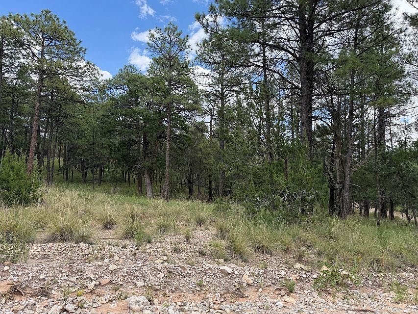 2nd image of Gunnison Way