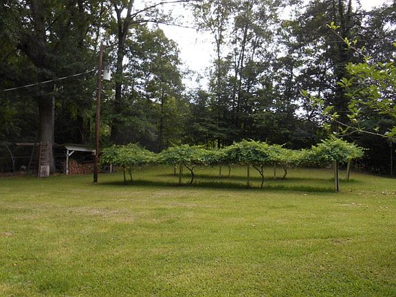 4th image of 1200 Albena Dr