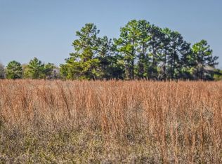 Podraza Rd, New Waverly, TX 77358