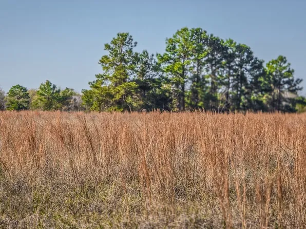 Podraza Rd, New Waverly, TX 77358