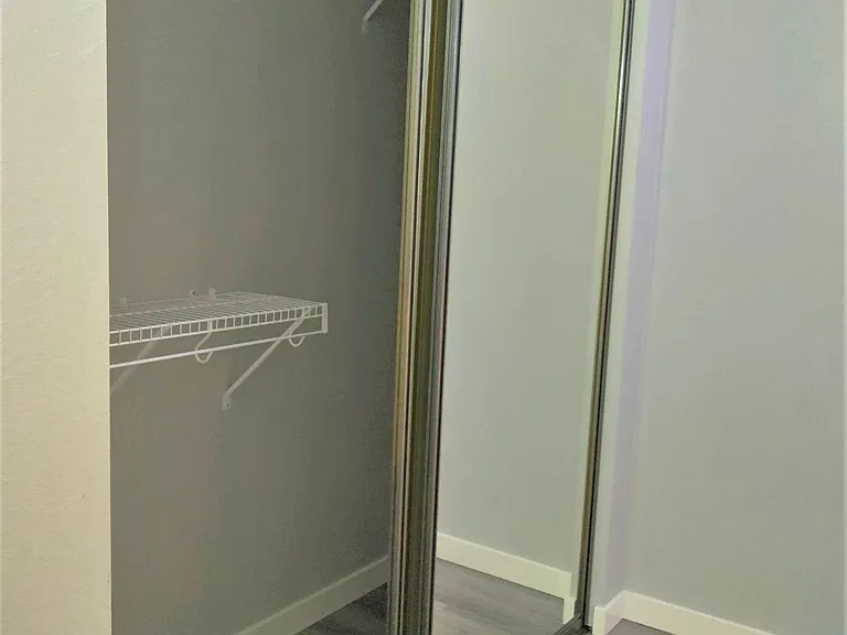 Entry Coat Closet - Mirror Doors