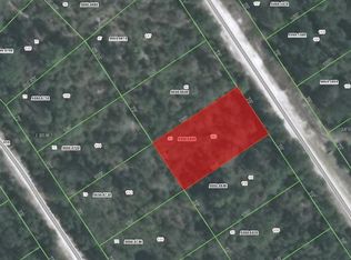 113 Glenside St, Georgetown, FL 32139