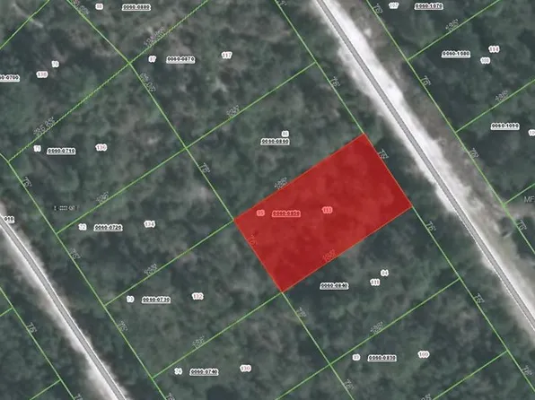 113 Glenside St, Georgetown, FL 32139