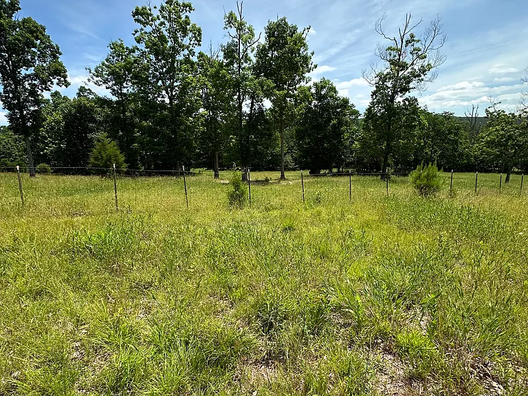 Leafwood Dr — Photo 3