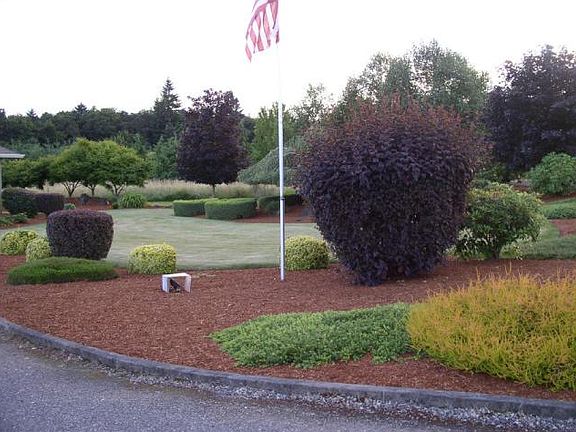 5th image of 10688 S Kelland Ct