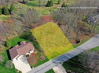 Saint Andrews Ct, Cortland, OH
