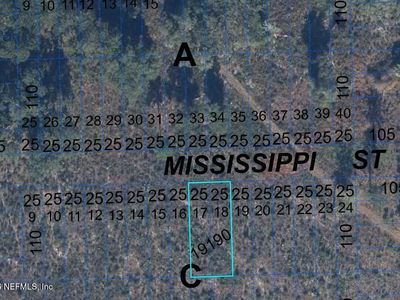 000 MISSISSIPPI Street, Hawthorne, FL, 32640