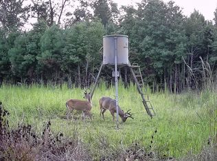 9750 Cottageville Hwy, Cottageville, SC 29435