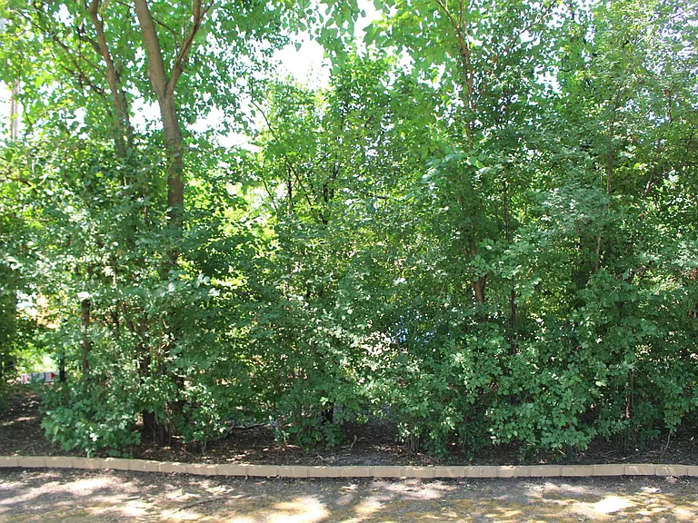 413 E Atwater Ave — Photo 54