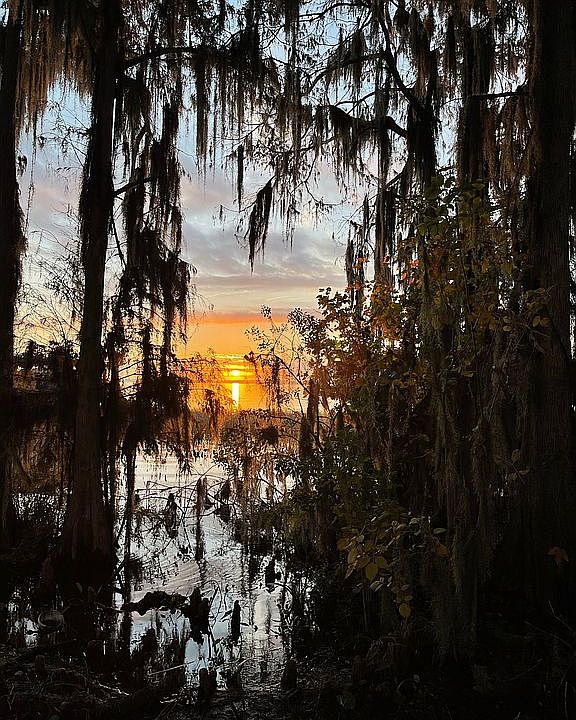 2nd image of Insim Ln