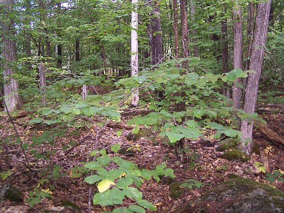 4th image of Lot# 3 Isaiah Mountain Lane