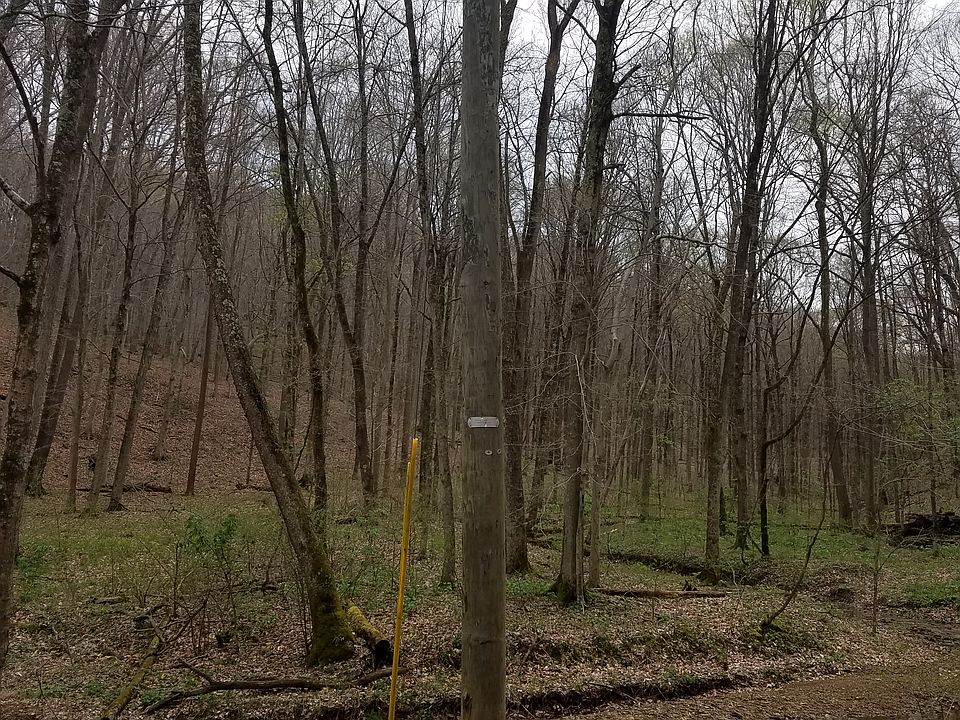 2nd image of 3537 Bethune Dr