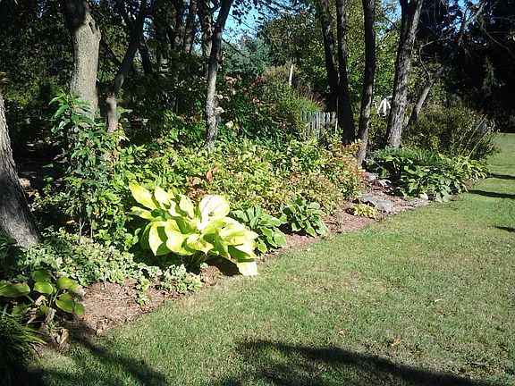The Ivy Garden
