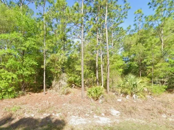 8621 N BLACKTHORN AVENUE LOT 5, CRYSTAL RIVER, FL 34428