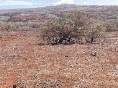 Pa Loa Loop, Maunaloa, HI, 96770