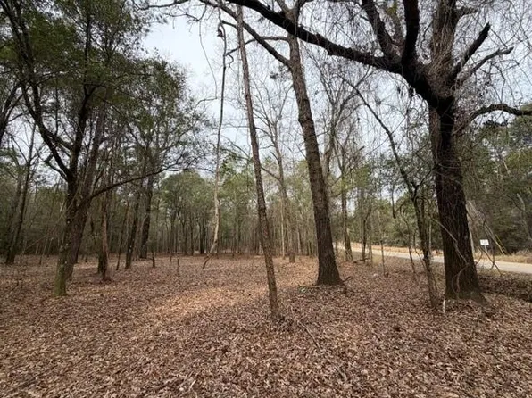 0 Danner Rd #E, Wilmer, AL 36587