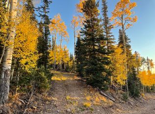 302 E Snowshoe Dr, Brian Head, UT 84719