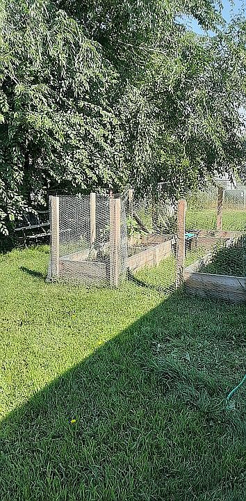 Fenced in garden
