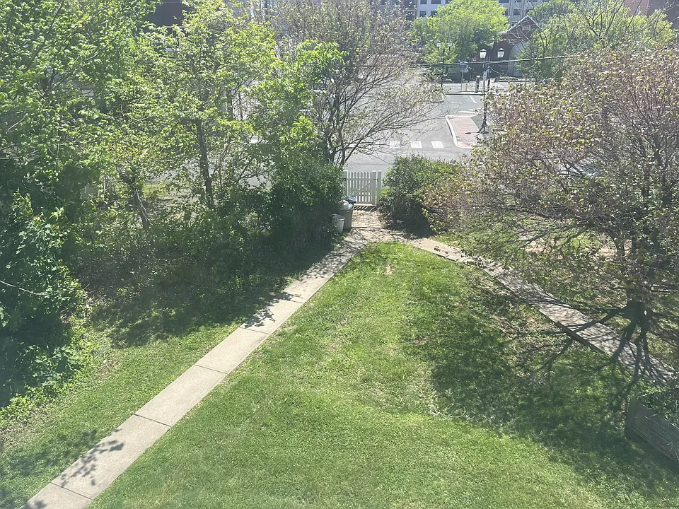Rear yard with off-street parking
