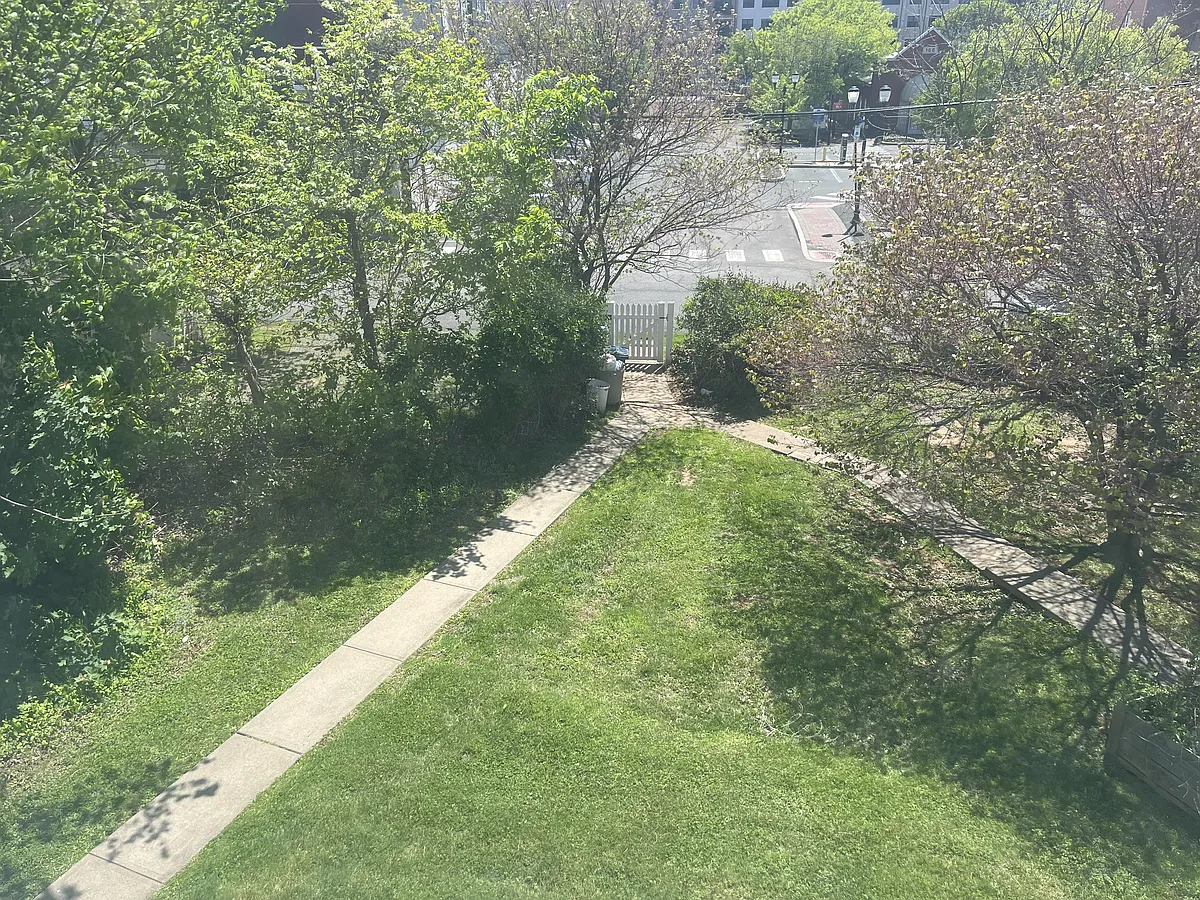 Rear yard with off-street parking - 117 W High St #1