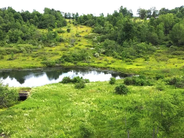 0 County Road 35 #12, Guilford, NY 13780