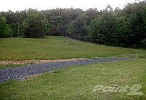 Back/side yard