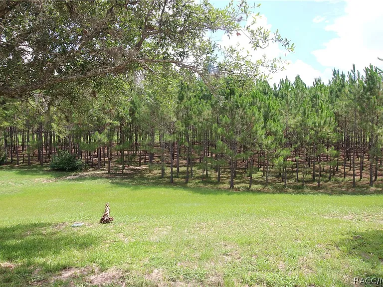 1600 W Spring Meadow Loop — Photo 29