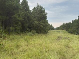 1388 County Road 1060, Center, TX 75935