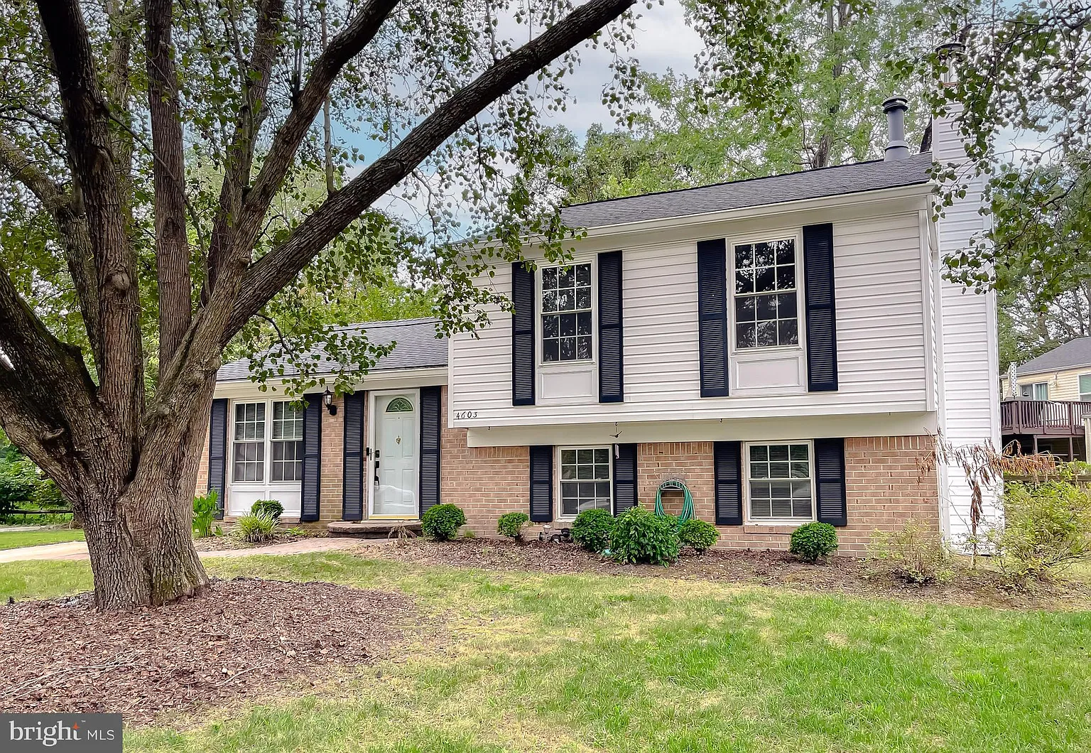 4603 Taylor Ct photo 1