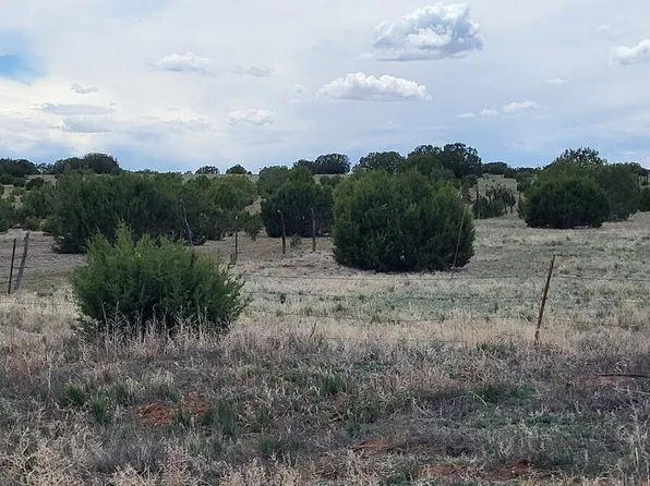 Bullion Rd, Moriarty, NM 87035