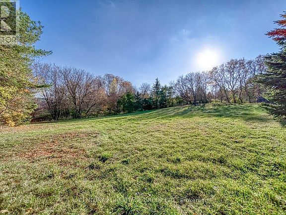 5th image of 19276 Holland Landing Rd