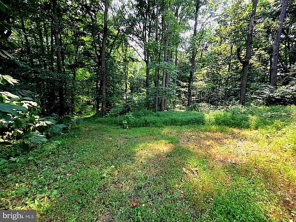 3rd image of 3500 Hawks Hill Rd Lot 1