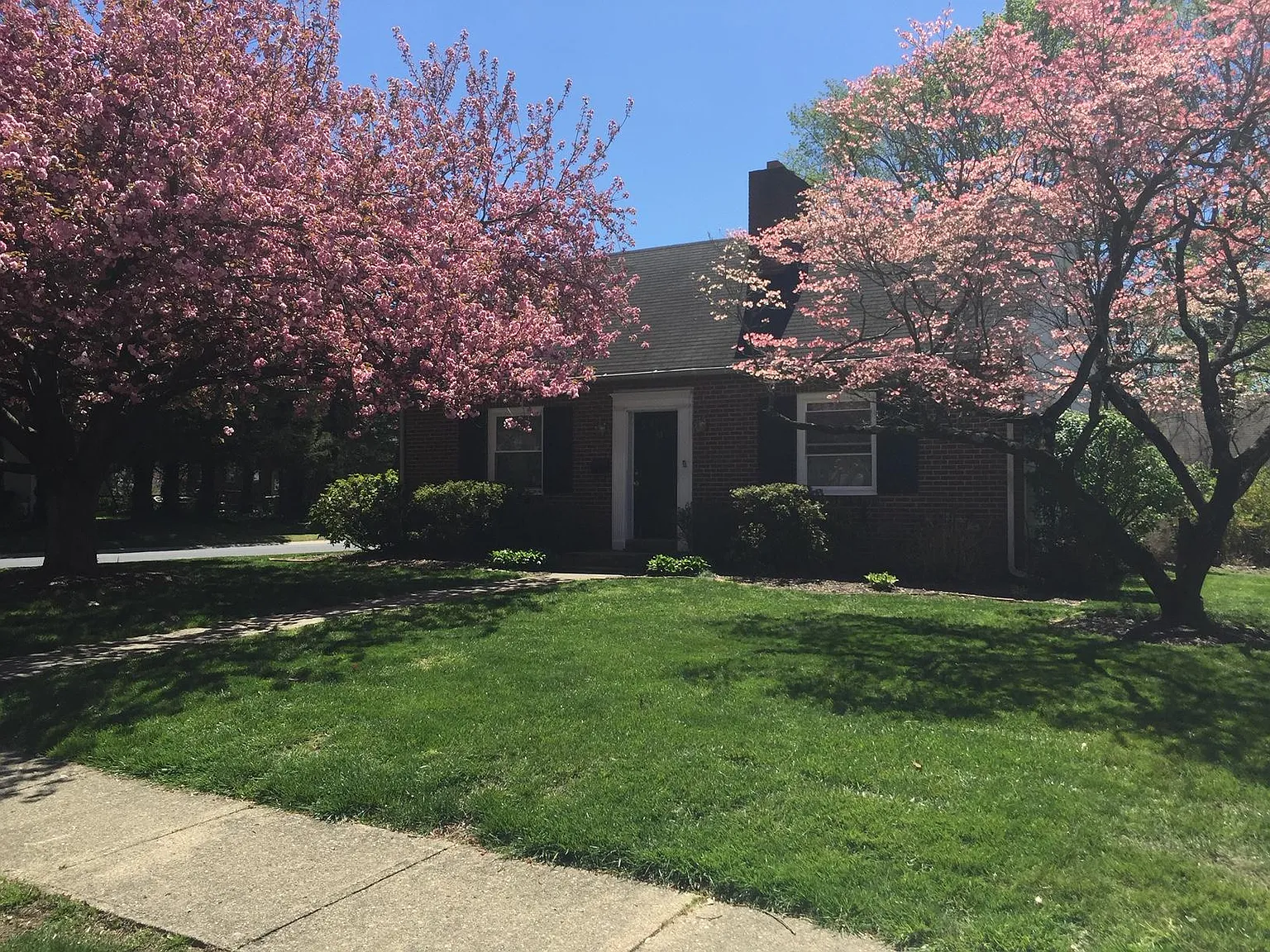 3 bed, 1600 sqft, $3,400 — Photo 1