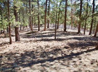 33378 Jennifer Rd, Pine, CO 80470
