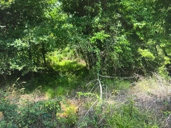LOT 139 Amite River Rd, Baton Rouge, LA 70817