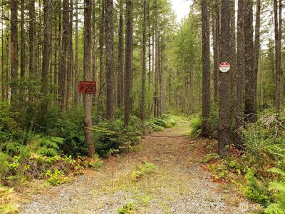 230 NE Hilltop Place, Tahuya, WA, 98588