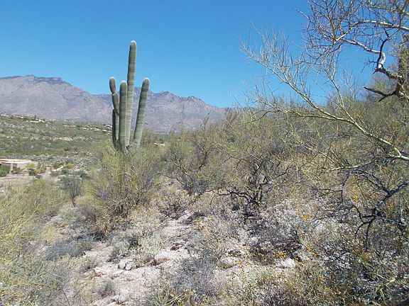 5th image of 4211 N Sierra Chapita