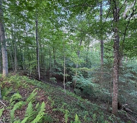 3rd image of Lot 59 Quiet Mountain Trail