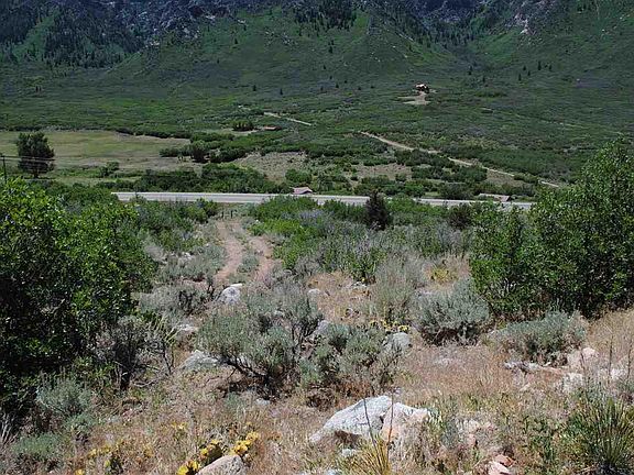 3rd image of 141 Tbd Hwy