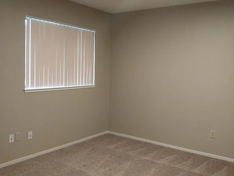 New Carpet!