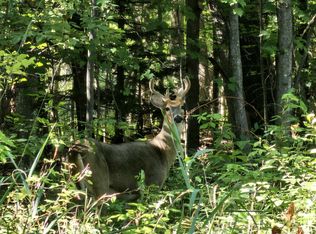 W8473 Mielke Way Rd, Wautoma, WI 54982