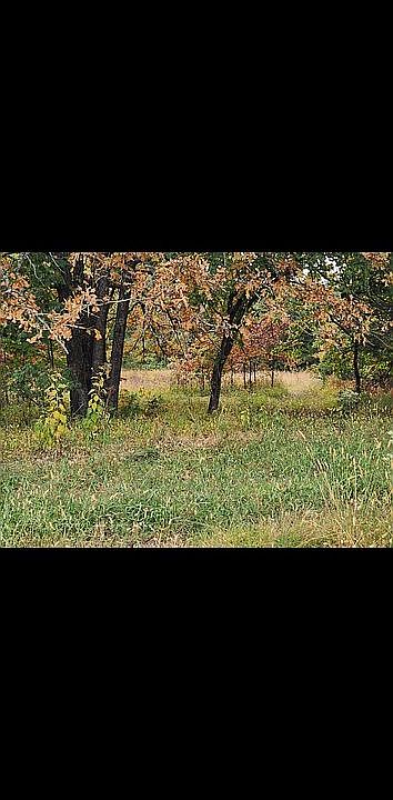 1st image of 24020 County Road 308