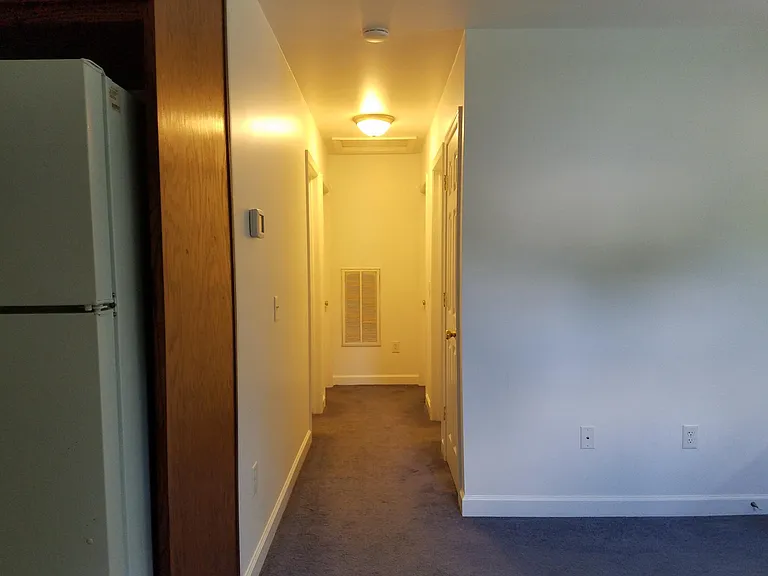 Hallway (kitchen on left and living room on right).