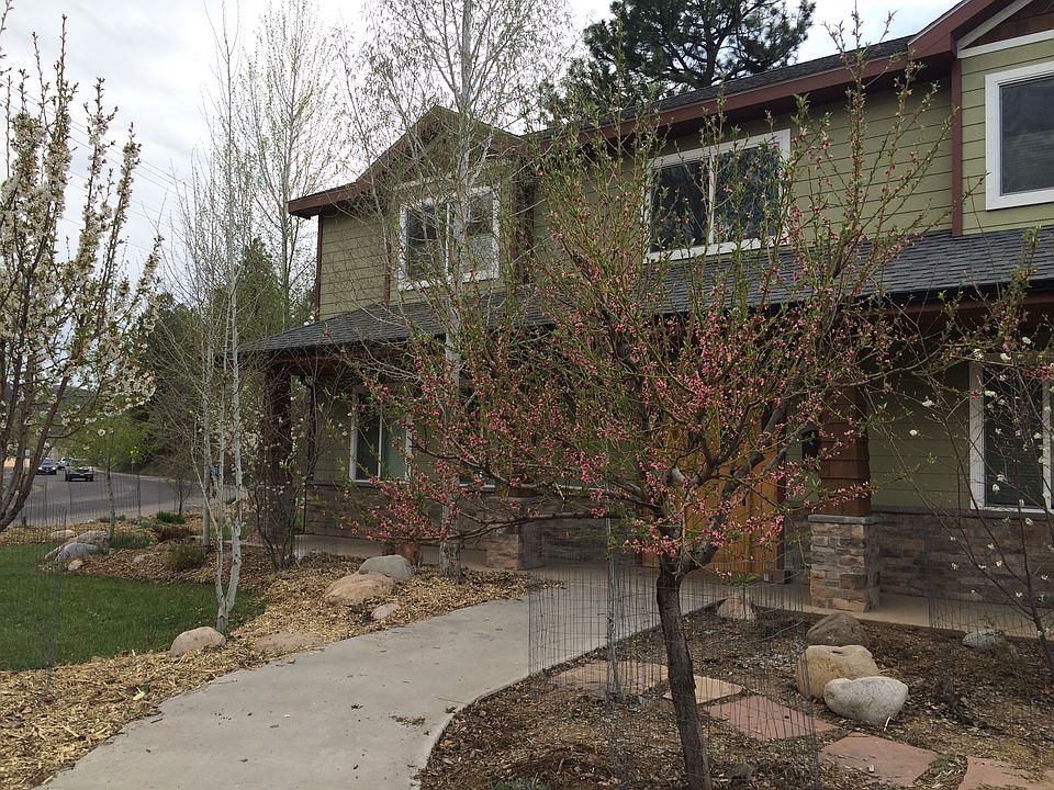 Early Spring, North Side