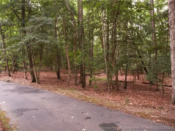1144 Deerfoot Trl, Sanford, NC 27332