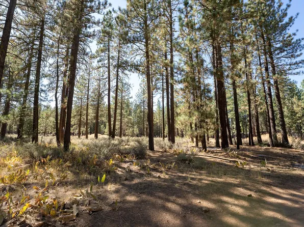 222 Bear Way, Portola, CA 96122