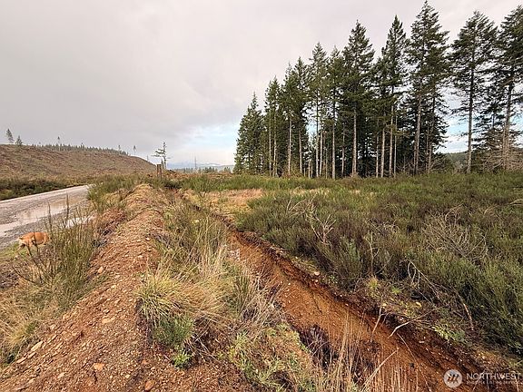 2nd image of 1 XX West California Road